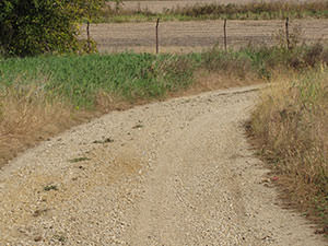 Gravel-Curve